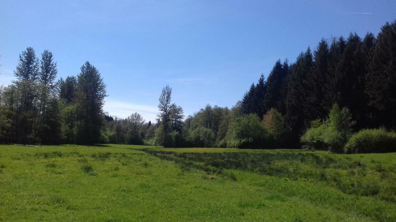 L'oriere Des Bois * Ronchamp