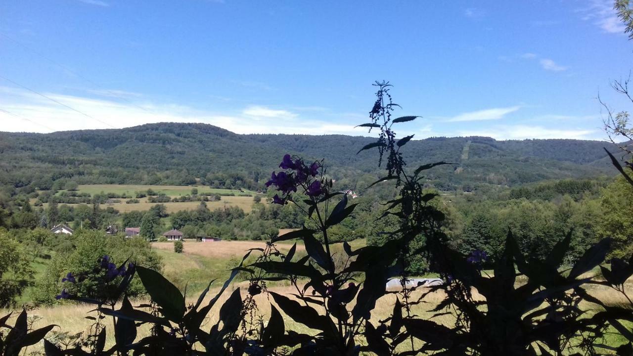 L'oriere Des Bois Holiday home Ronchamp